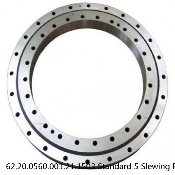 62.20.0560.001.21.1503 Standard 5 Slewing Ring Bearings