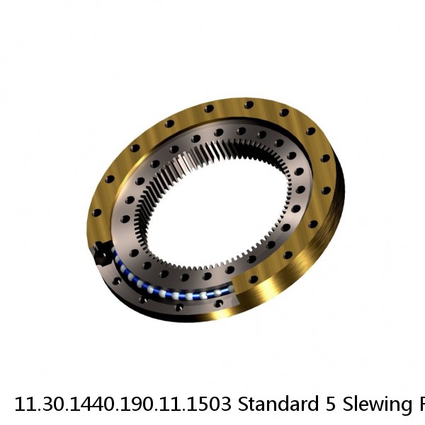 11.30.1440.190.11.1503 Standard 5 Slewing Ring Bearings