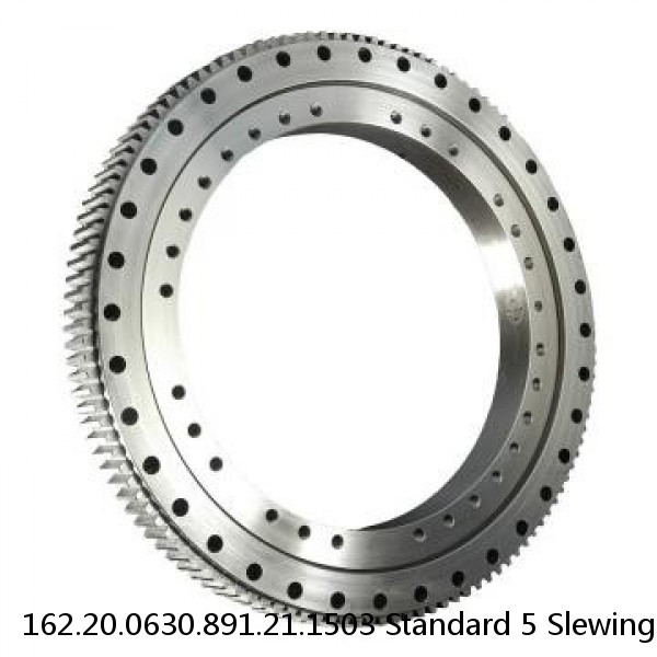 162.20.0630.891.21.1503 Standard 5 Slewing Ring Bearings