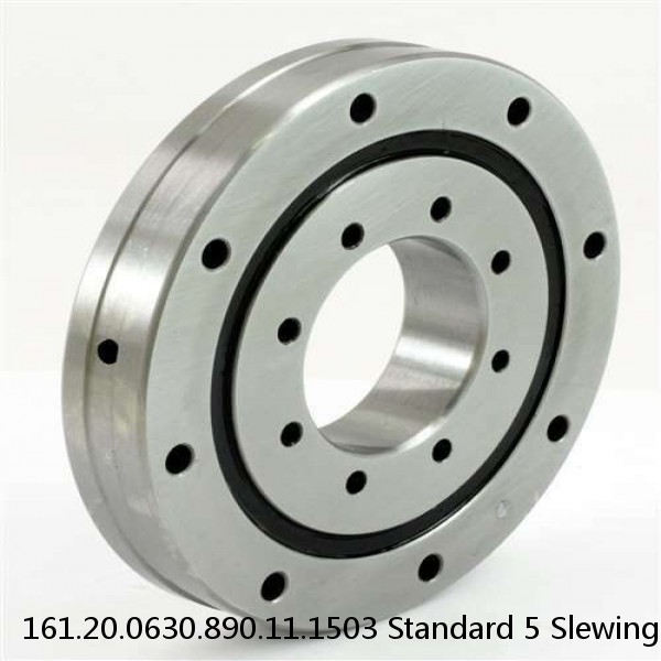 161.20.0630.890.11.1503 Standard 5 Slewing Ring Bearings