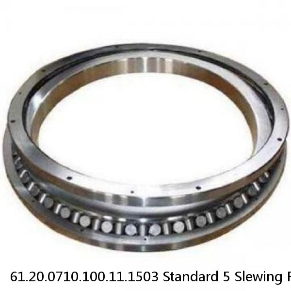 61.20.0710.100.11.1503 Standard 5 Slewing Ring Bearings