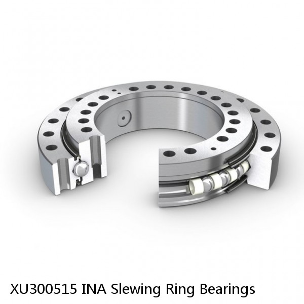 XU300515 INA Slewing Ring Bearings