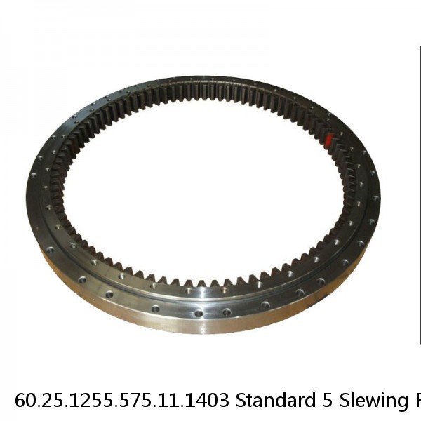 60.25.1255.575.11.1403 Standard 5 Slewing Ring Bearings