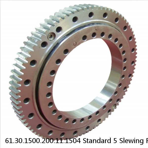 61.30.1500.200.11.1504 Standard 5 Slewing Ring Bearings