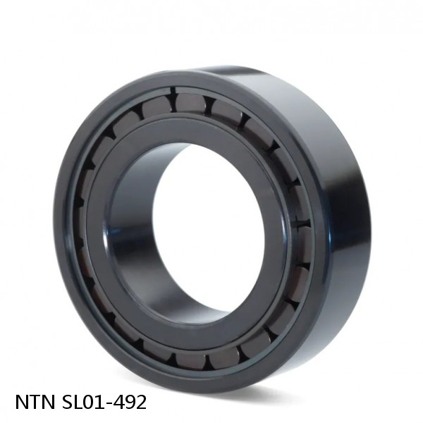 SL01-492 NTN Cylindrical Roller Bearing