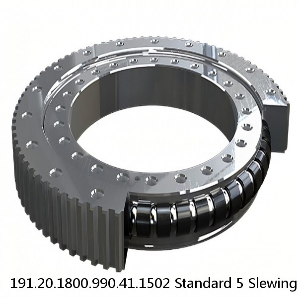 191.20.1800.990.41.1502 Standard 5 Slewing Ring Bearings