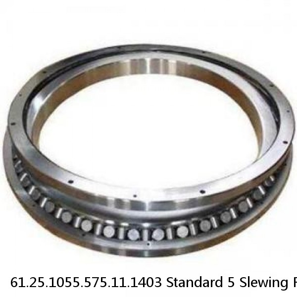 61.25.1055.575.11.1403 Standard 5 Slewing Ring Bearings