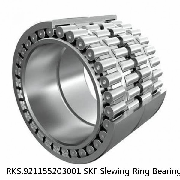 RKS.921155203001 SKF Slewing Ring Bearings