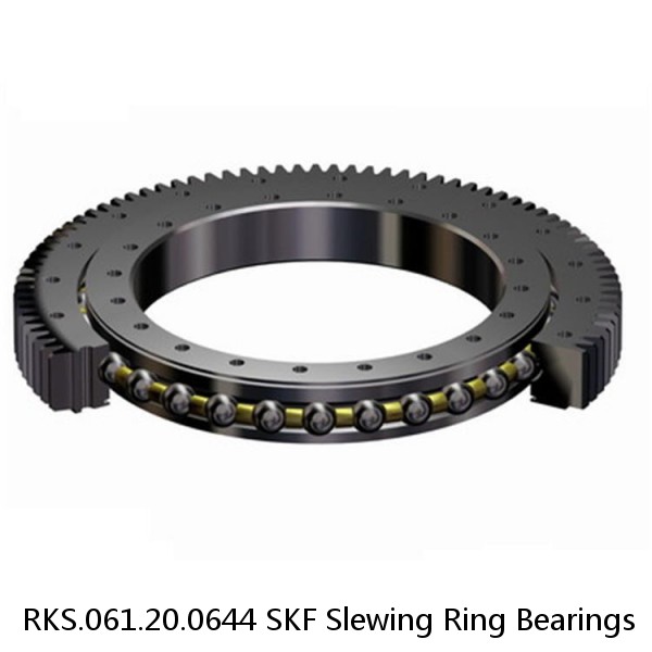 RKS.061.20.0644 SKF Slewing Ring Bearings