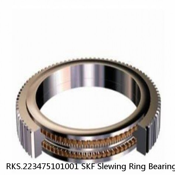 RKS.223475101001 SKF Slewing Ring Bearings