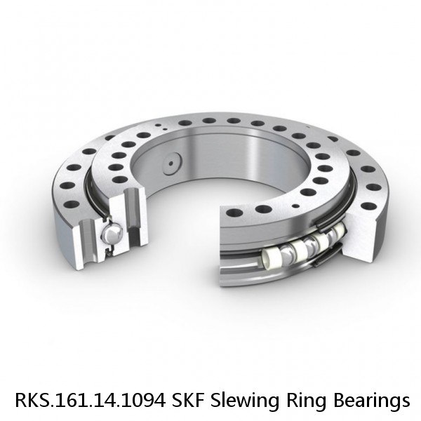 RKS.161.14.1094 SKF Slewing Ring Bearings