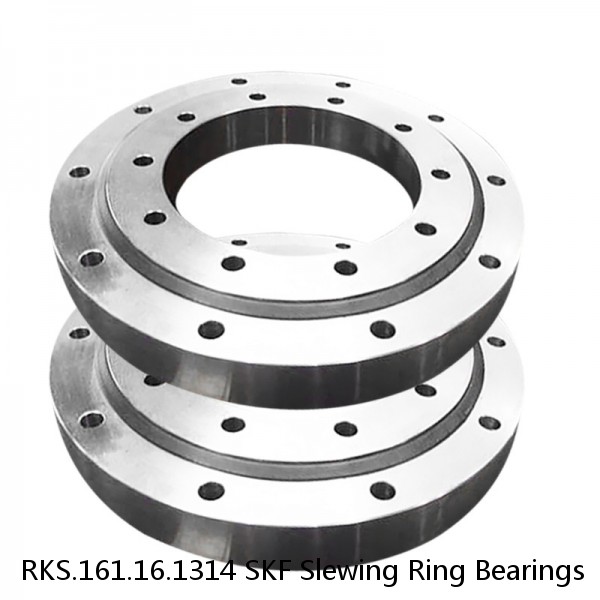 RKS.161.16.1314 SKF Slewing Ring Bearings