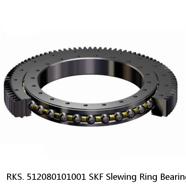 RKS. 512080101001 SKF Slewing Ring Bearings