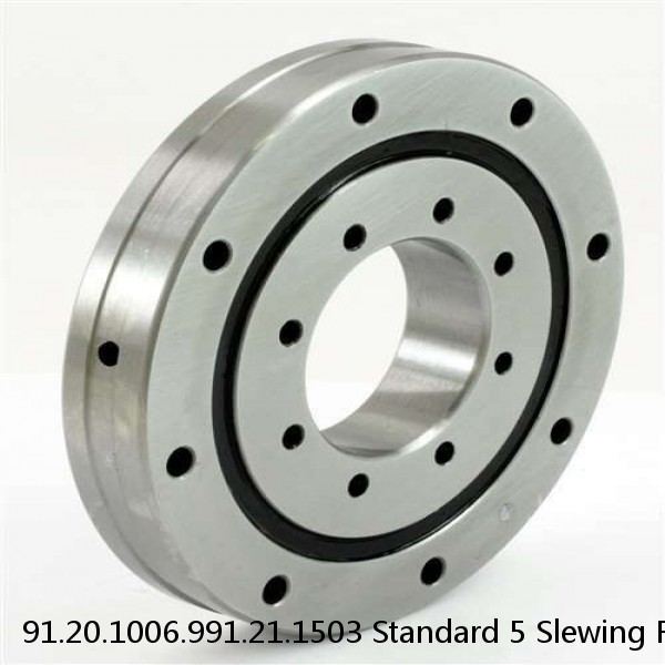 91.20.1006.991.21.1503 Standard 5 Slewing Ring Bearings