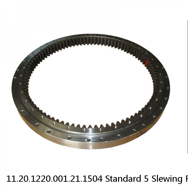 11.20.1220.001.21.1504 Standard 5 Slewing Ring Bearings