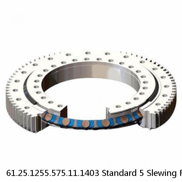 61.25.1255.575.11.1403 Standard 5 Slewing Ring Bearings