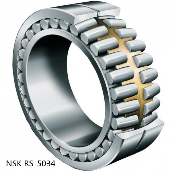 RS-5034 NSK CYLINDRICAL ROLLER BEARING