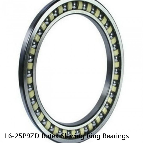 L6-25P9ZD Rotek Slewing Ring Bearings