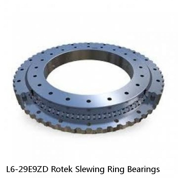 L6-29E9ZD Rotek Slewing Ring Bearings