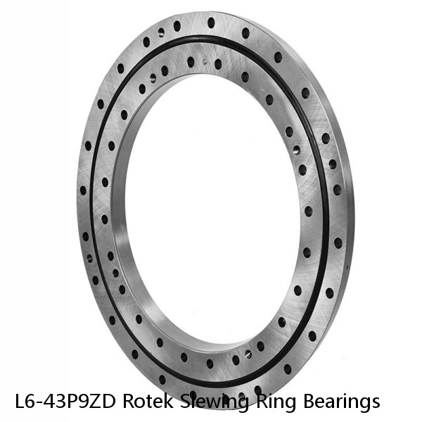 L6-43P9ZD Rotek Slewing Ring Bearings