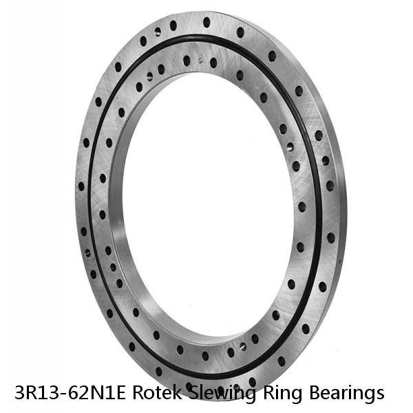 3R13-62N1E Rotek Slewing Ring Bearings