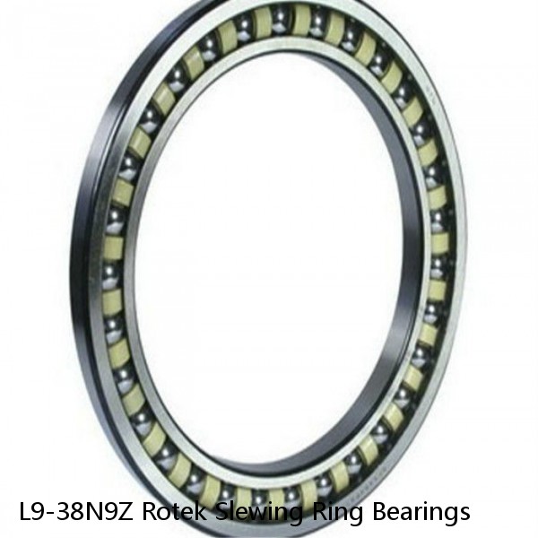 L9-38N9Z Rotek Slewing Ring Bearings