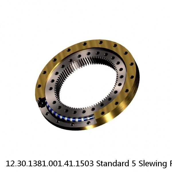 12.30.1381.001.41.1503 Standard 5 Slewing Ring Bearings