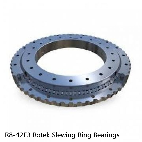 R8-42E3 Rotek Slewing Ring Bearings