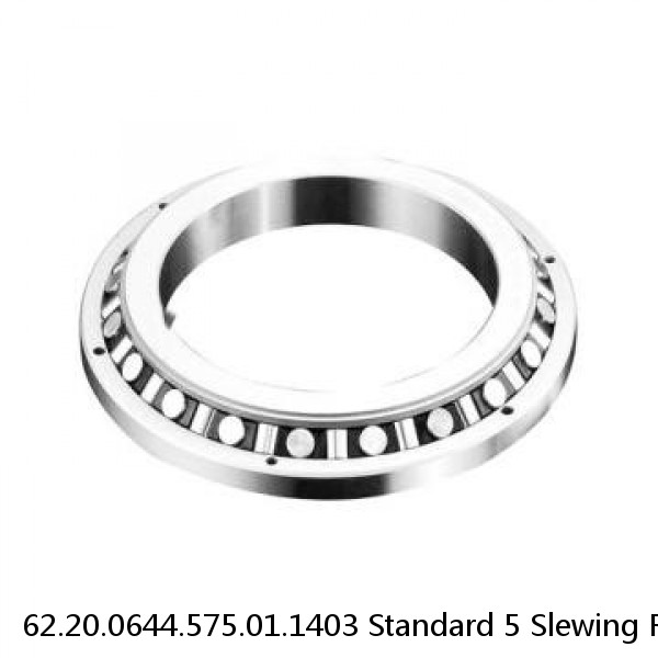 62.20.0644.575.01.1403 Standard 5 Slewing Ring Bearings