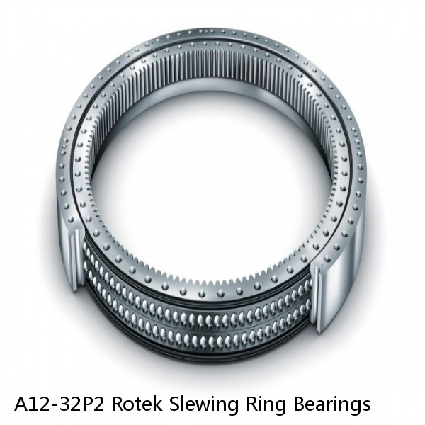 A12-32P2 Rotek Slewing Ring Bearings