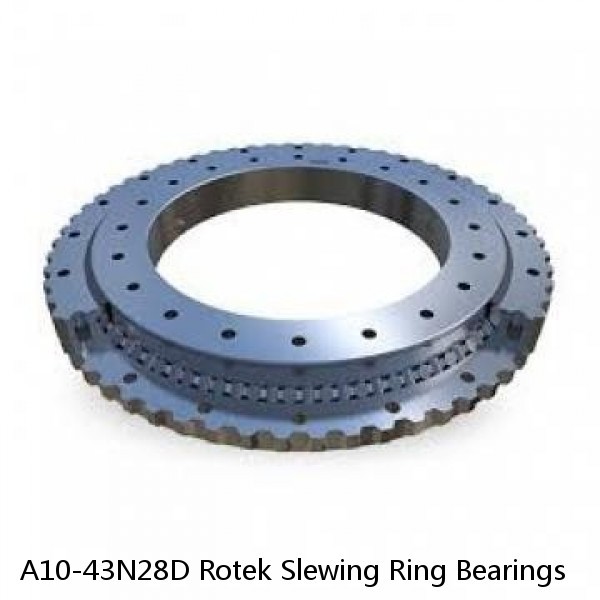 A10-43N28D Rotek Slewing Ring Bearings