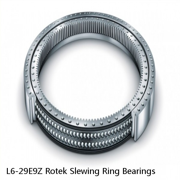 L6-29E9Z Rotek Slewing Ring Bearings