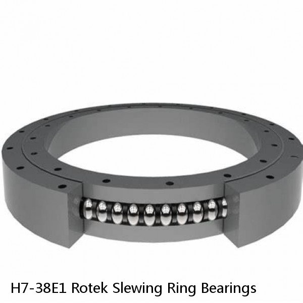 H7-38E1 Rotek Slewing Ring Bearings