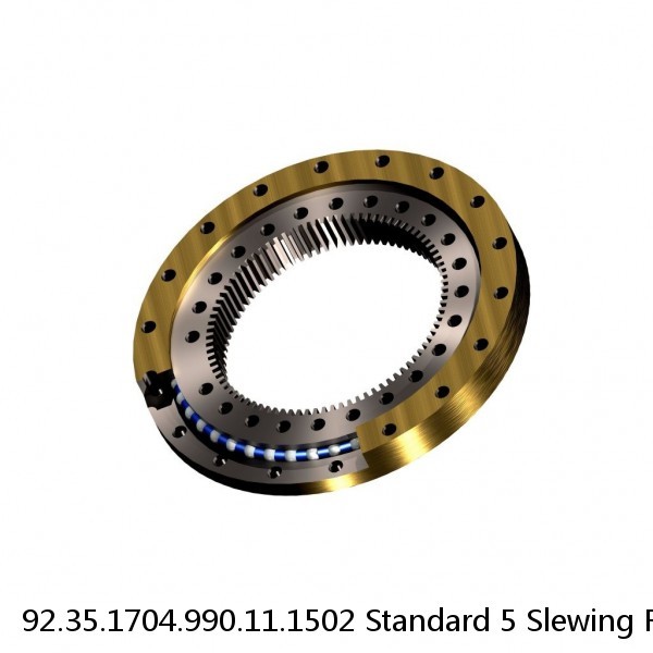 92.35.1704.990.11.1502 Standard 5 Slewing Ring Bearings