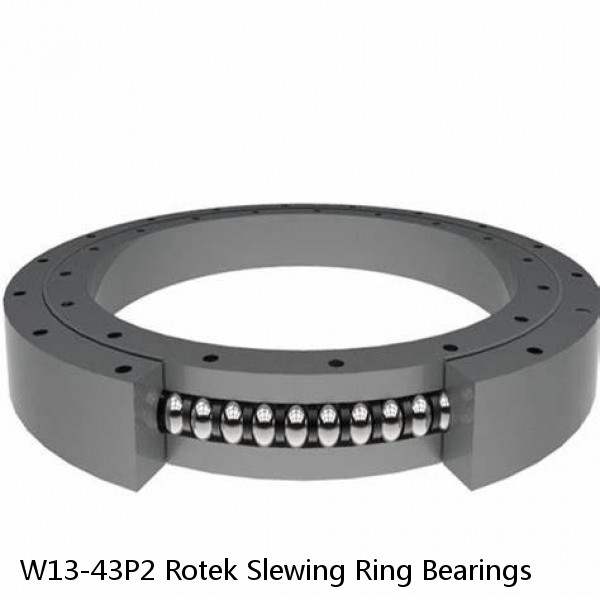 W13-43P2 Rotek Slewing Ring Bearings