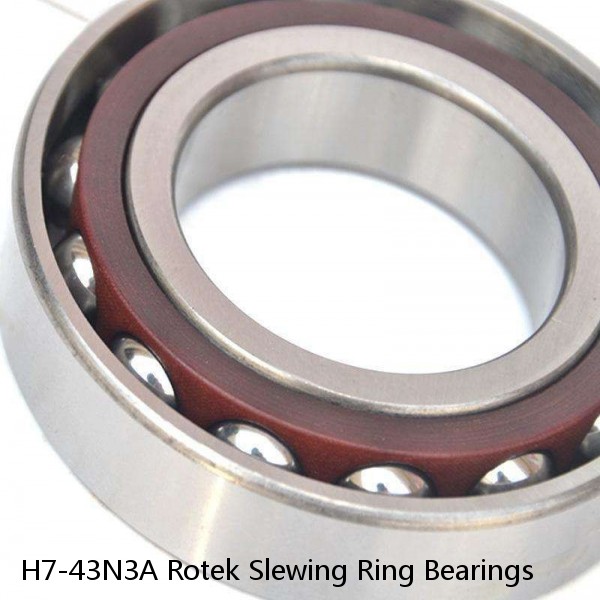 H7-43N3A Rotek Slewing Ring Bearings