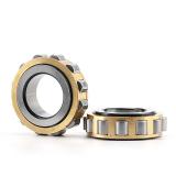 2.165 Inch | 55 Millimeter x 2.48 Inch | 63 Millimeter x 0.787 Inch | 20 Millimeter  CONSOLIDATED BEARING BK-5520  Needle Non Thrust Roller Bearings