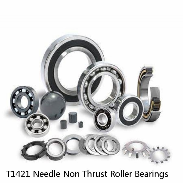 T1421 Needle Non Thrust Roller Bearings