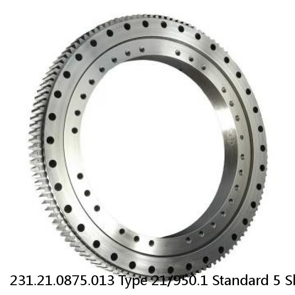 231.21.0875.013 Type 21/950.1 Standard 5 Slewing Ring Bearings