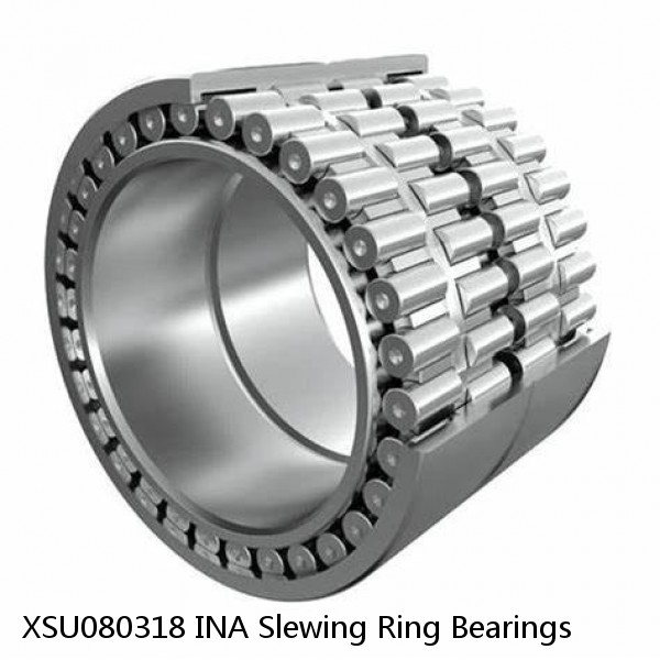 XSU080318 INA Slewing Ring Bearings