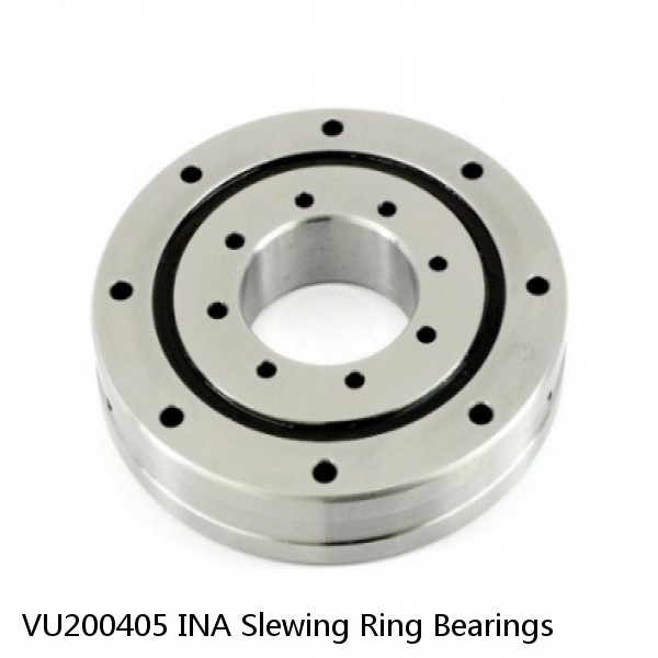 VU200405 INA Slewing Ring Bearings