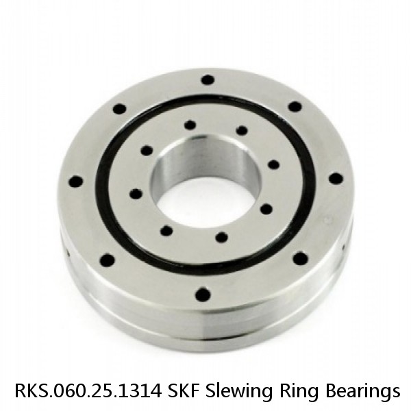 RKS.060.25.1314 SKF Slewing Ring Bearings