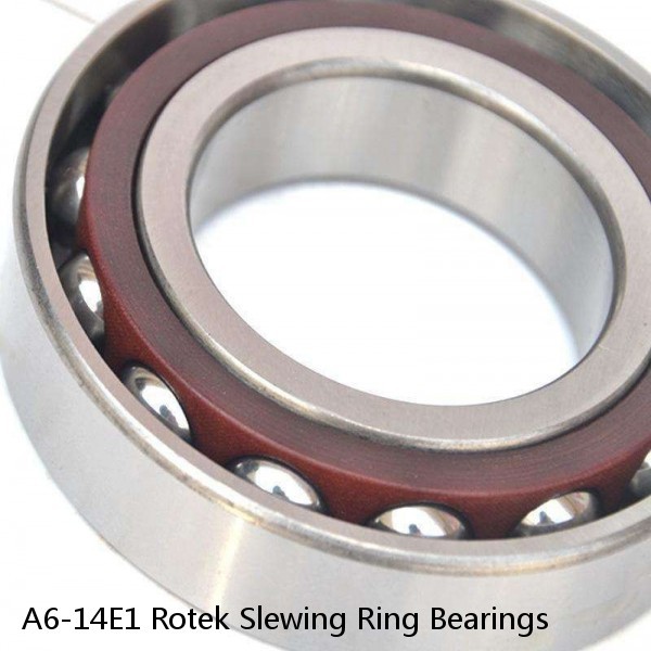 A6-14E1 Rotek Slewing Ring Bearings