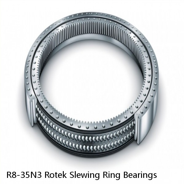 R8-35N3 Rotek Slewing Ring Bearings