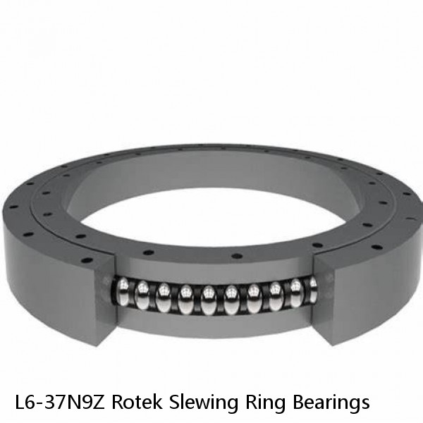 L6-37N9Z Rotek Slewing Ring Bearings