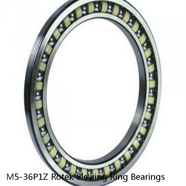 M5-36P1Z Rotek Slewing Ring Bearings