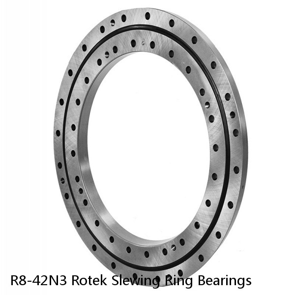 R8-42N3 Rotek Slewing Ring Bearings