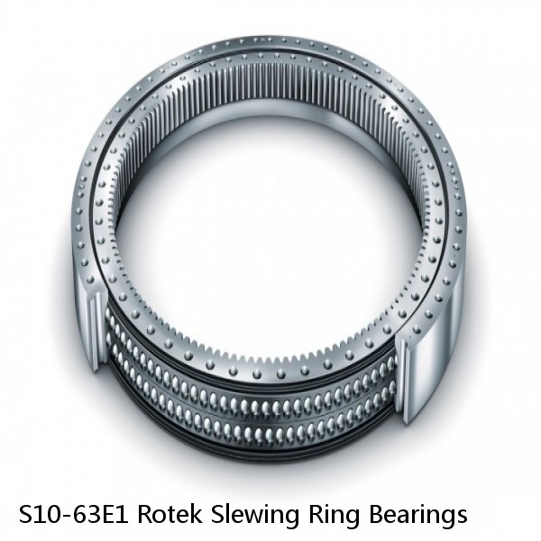 S10-63E1 Rotek Slewing Ring Bearings