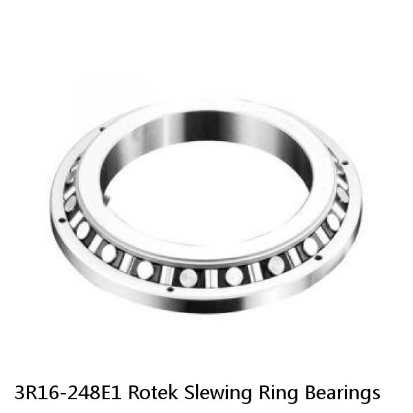 3R16-248E1 Rotek Slewing Ring Bearings