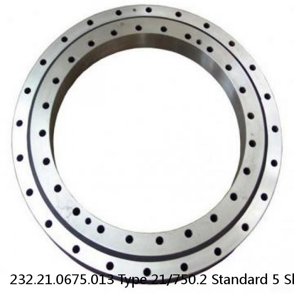 232.21.0675.013 Type 21/750.2 Standard 5 Slewing Ring Bearings